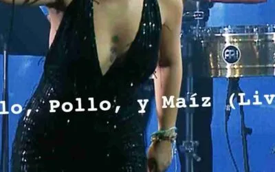 Palo!_"Palo, Pollo y Maíz"