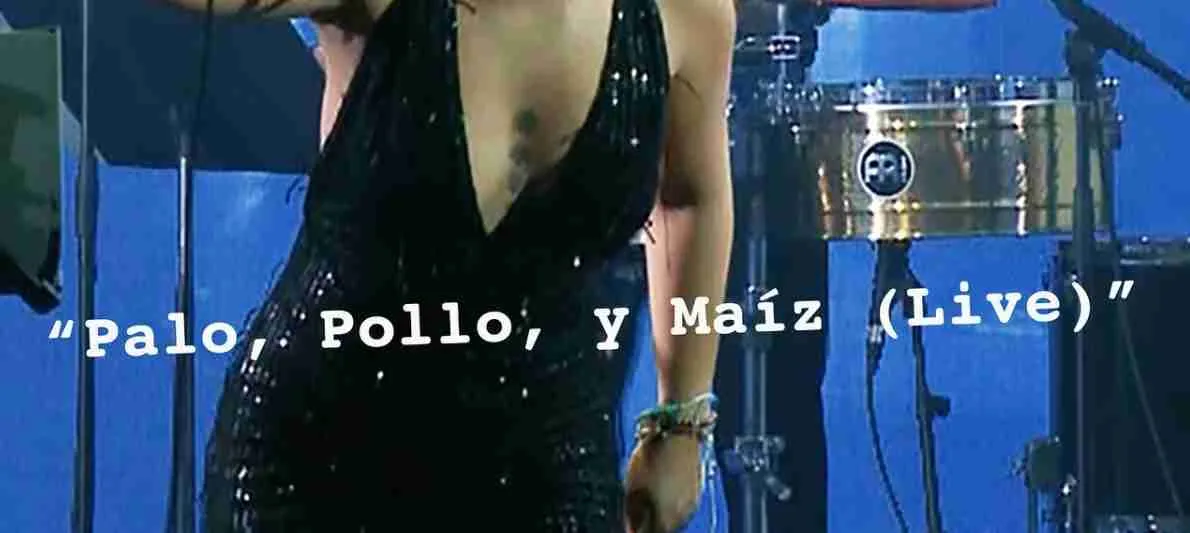 Palo!_"Palo, Pollo y Maíz"