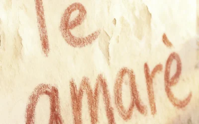 Croma Latina_Te amaré