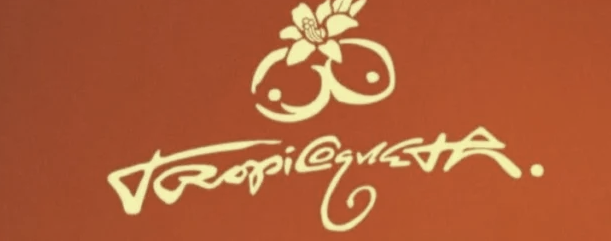 Karol G_Tropicoqueta