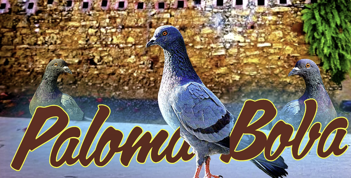 Edwin El Calvito Reyes_Paloma Boba (2026)