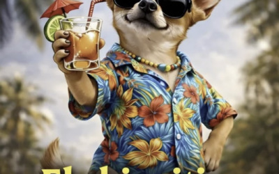 Orquesta Failde_El Chiquito_2026_Merengue