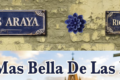 Ramses Araya_A la más bella de las flores_Salsa_2026
